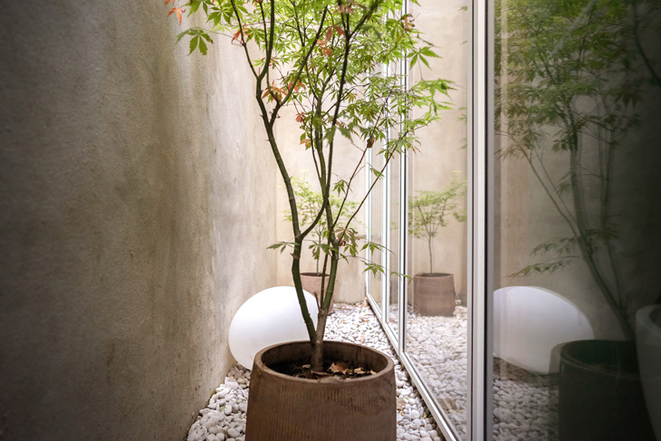 Basement-extension-kensington-and-chelsea-lightwell-2-midres