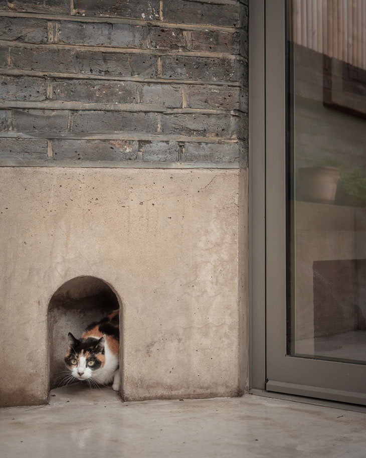 Stoke Newington extension-outside catflap-VATRAA-6-midres