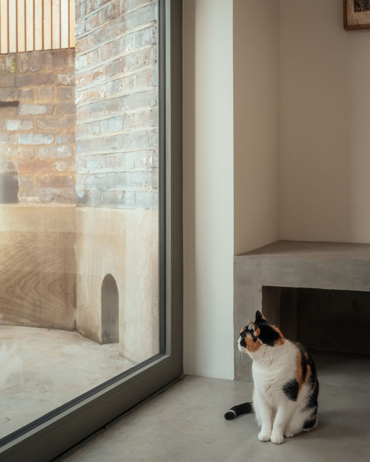 Stoke Newington extension-outside catflap-VATRAA-8-midres